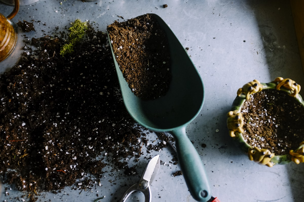 Landscaping and gardening service